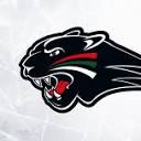 Augsburger Panther logo