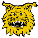 Ilves logo
