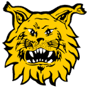 Ilves logo