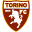 Torino logo